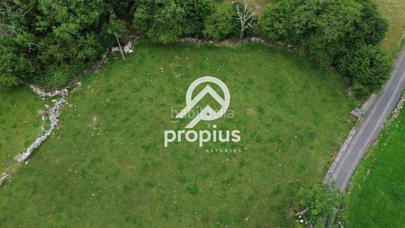 Foto a99bb167-af6c-40a1-807c-9029a7a5a7d0. Finca rústica a Vidiago-Pendueles-Tresgrandras Llanes