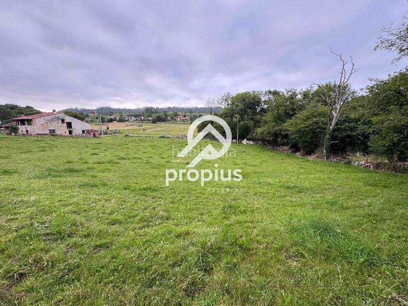 Foto c22ef99d-e1cc-4ff9-9ea7-72f6dfcb200c. Finca rústica a Vidiago-Pendueles-Tresgrandras Llanes