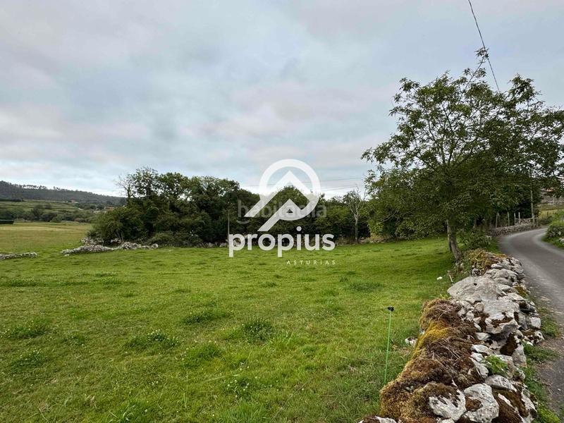 Foto d072429a-3ee0-4b1d-905b-9891093c048d. Finca rústica a Vidiago-Pendueles-Tresgrandras Llanes