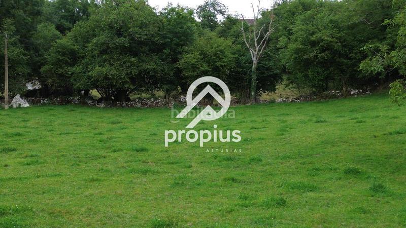 Foto eca8ac9d-8232-448d-9a66-fd4ef0ec4910. Finca rústica a Vidiago-Pendueles-Tresgrandras Llanes