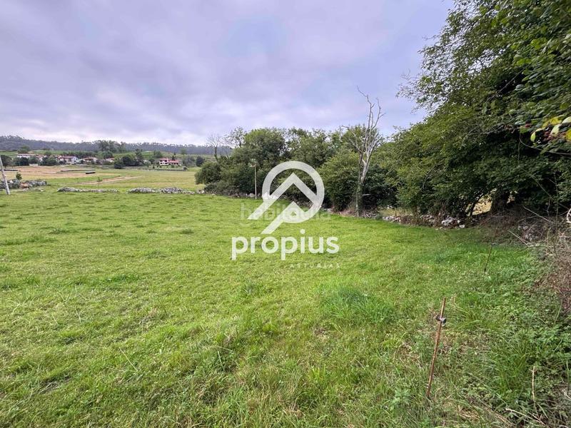 Foto fcd54fd3-88b5-4c26-9c5d-a306a8dad62a. Finca rústica a Vidiago-Pendueles-Tresgrandras Llanes