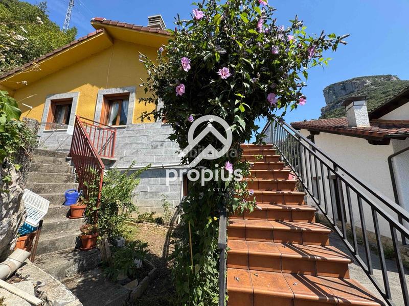 Foto a1120561-44e3-44bc-839f-4a582e8bbcb8. Casa adosada chalet adosado en carreña en Cabrales