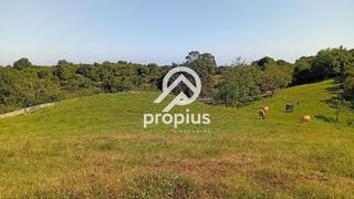 Rural plot  N/a. Finca rustica en parres. llanes