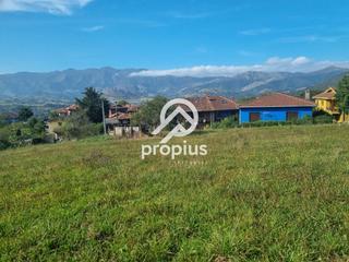 Propriété  Arenas. Parcela edificable en el concejo de parres