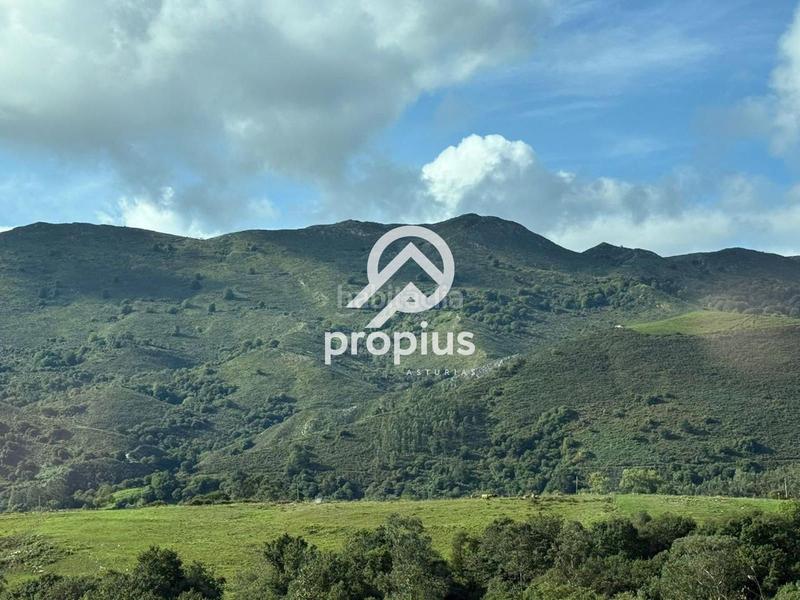 Foto 5334095b-f02c-44ed-86ce-c1488c8fadee. Casa adosada casa y cuadra en la borbolla en Vidiago-Pendueles-Tresgrandras Llanes