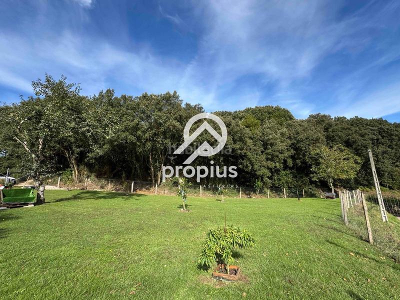 Foto 0222fcad-7509-4f8a-bd0c-5ffadab17691. Rural plot in Posada-Barro Llanes