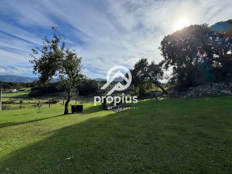 Foto 0d49dc22-a826-4c16-a6b6-f32c5091467a. Rural plot in Posada-Barro Llanes