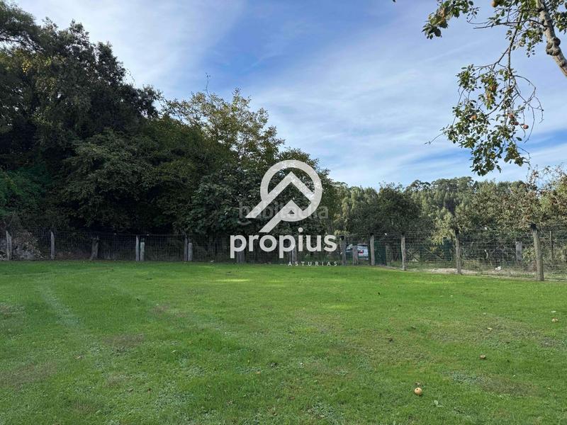 Foto 0e5a9344-f53a-4c1b-a27e-5984a5201256. Rural plot in Posada-Barro Llanes