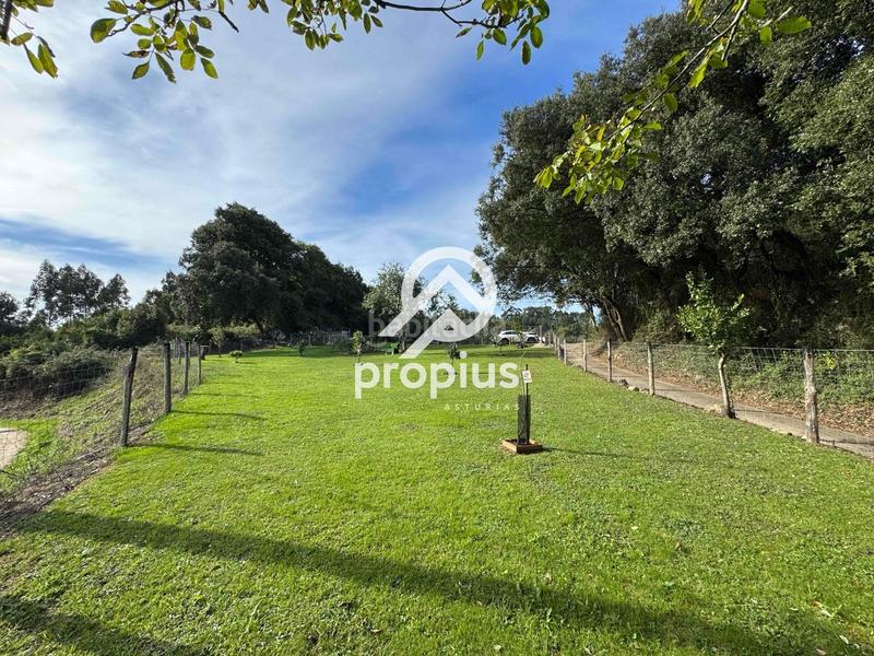 Foto 39591dae-de8c-4cba-9a0d-a0bfcffd6ded. Rural plot in Posada-Barro Llanes