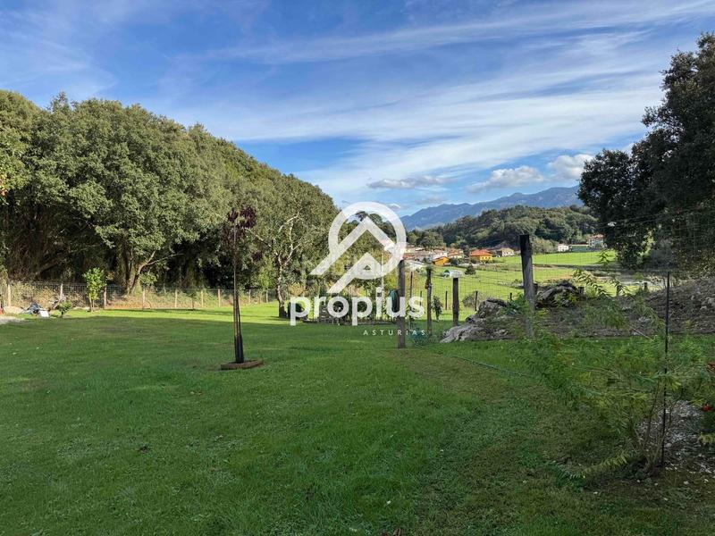Foto 3f84d309-f470-4dce-9dbe-7a19603fe842. Rural plot in Posada-Barro Llanes