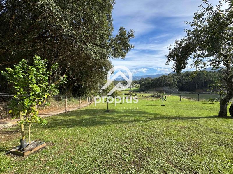 Foto 5d723d53-2831-42a3-afd8-6fc134d45f61. Rural plot in Posada-Barro Llanes