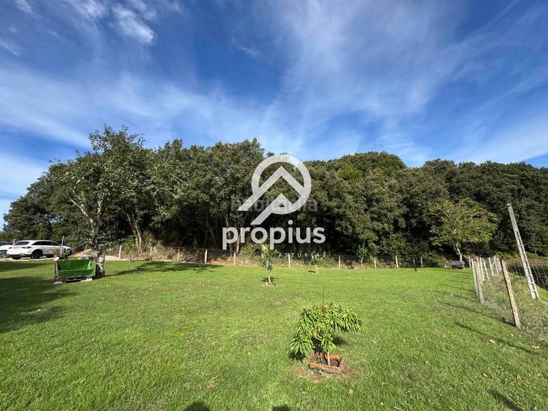 Foto 748a36d5-76d7-4ef8-b5dc-f42c616fb6b5. Rural plot in Posada-Barro Llanes