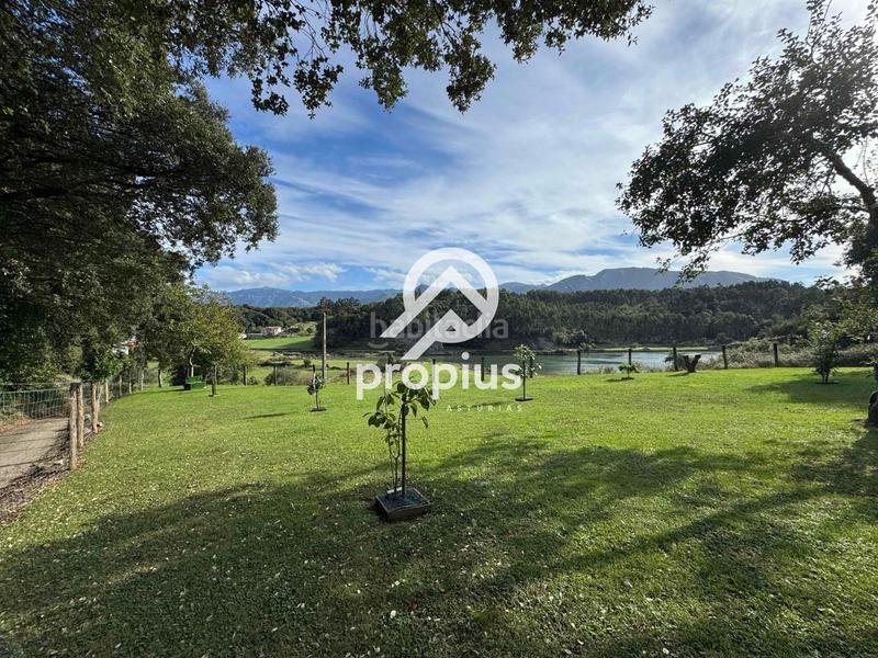 Foto 78998c6a-7bc9-4a81-9927-bc51903bae39. Rural plot in Posada-Barro Llanes
