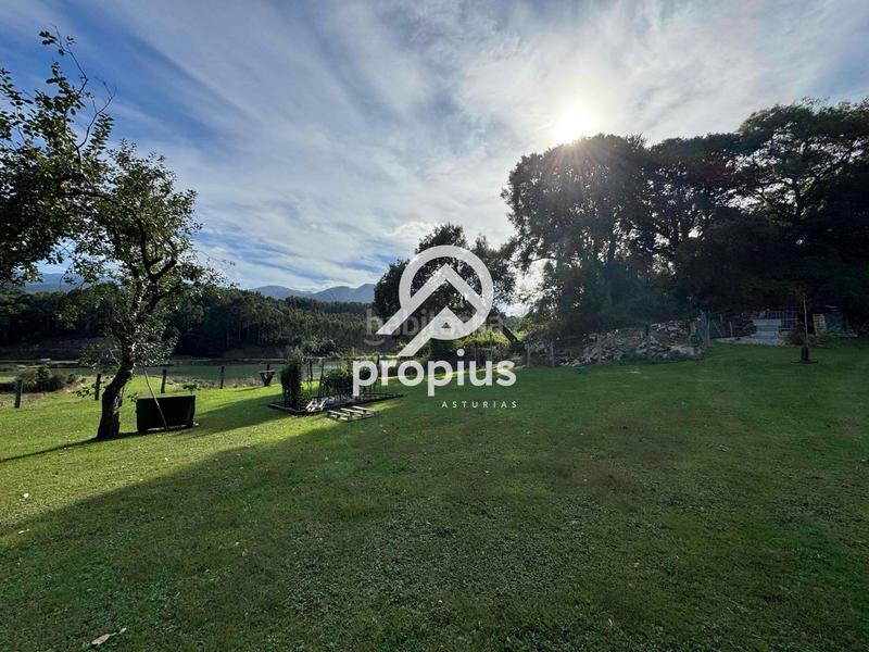 Foto 83818a47-104d-4e4a-ab8a-add281f4505b. Rural plot in Posada-Barro Llanes
