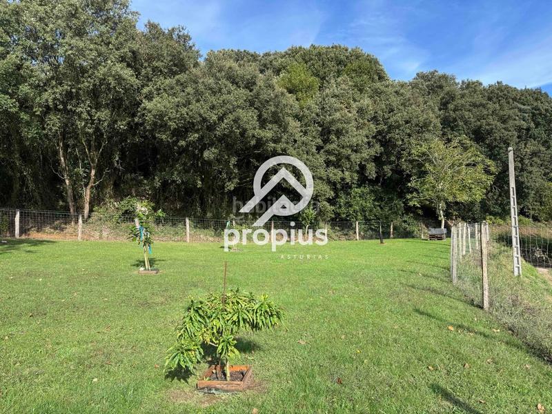 Foto 8b17543c-6f15-4121-8dd1-3970811f9c48. Rural plot in Posada-Barro Llanes