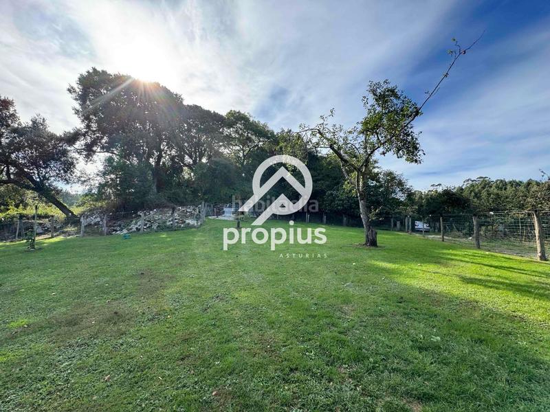 Foto 9cca5976-8190-4fd4-adc5-60f112a24796. Rural plot in Posada-Barro Llanes