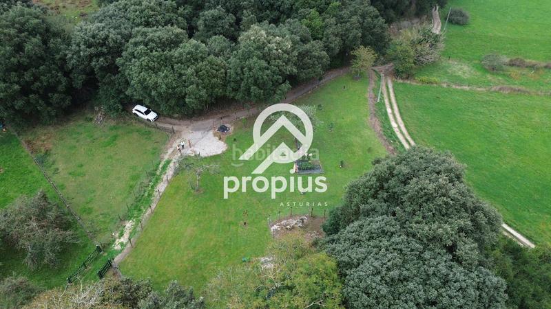 Foto 9ce10680-4628-4c8e-8760-873a599fb34d. Rural plot in Posada-Barro Llanes
