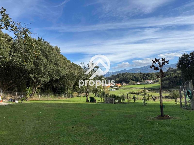 Foto a2beeedc-0ce6-4648-8762-ab3cf539bf0e. Rural plot in Posada-Barro Llanes