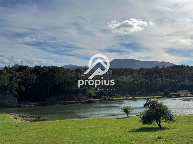 Foto a9d1bd58-601b-4641-a3a6-065c45438e30. Rural plot in Posada-Barro Llanes