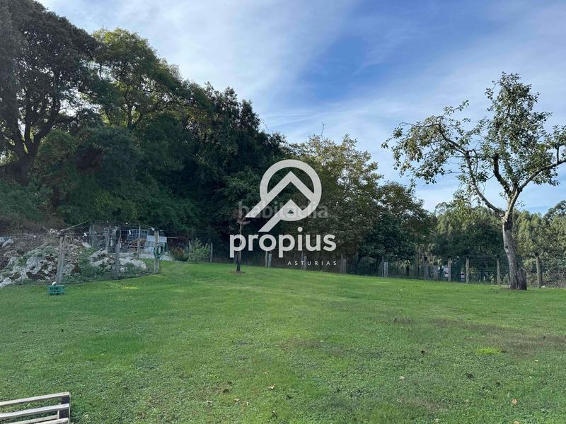 Foto cc30f5c1-cb6e-469c-8fe6-06a7a4e62686. Rural plot in Posada-Barro Llanes