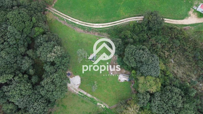 Foto f7eeb273-acfe-4f39-8692-ace068531780. Rural plot in Posada-Barro Llanes