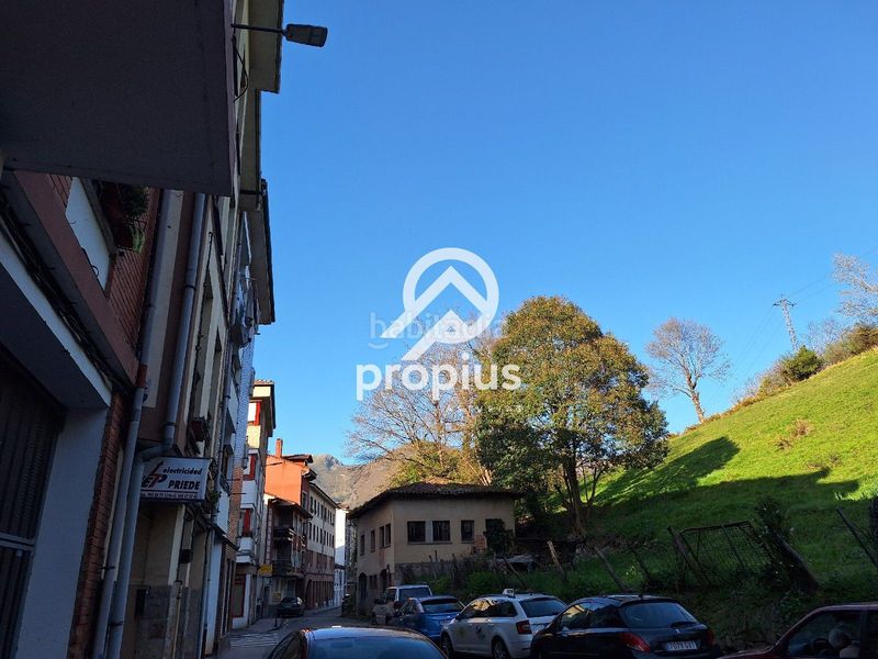 Foto 163be414-0160-40f2-862a-a643be5a4de1. Pis amb calefacció a Cangas de Onís