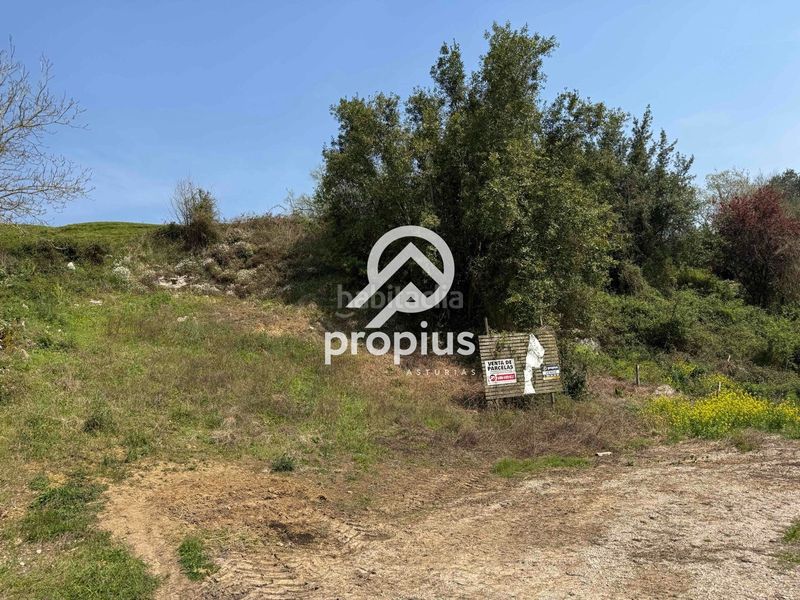 Foto 4a2b9661-683d-4c7d-8bd7-233fe33269ee. Terreny residencial a Vidiago-Pendueles-Tresgrandras Llanes
