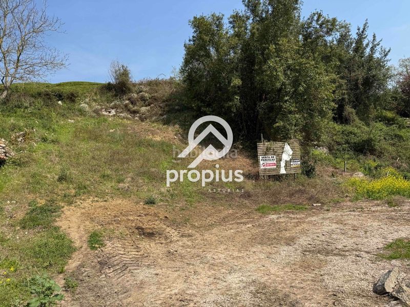 Foto 76f03c4e-e035-43db-bb6f-bb0334814146. Terreny residencial a Vidiago-Pendueles-Tresgrandras Llanes