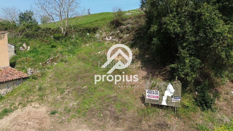 Foto bb68a650-e79c-432d-81bf-8a4960936cd5. Terreny residencial a Vidiago-Pendueles-Tresgrandras Llanes