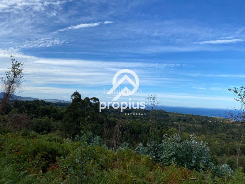 Foto 44e291ee-c97c-44b3-8cac-2adc7ad0e732. Finca rústica exclusiva parcela edificable en belmonte de pría inversión y proyecto de vida en plena costa asturiana en Llanes