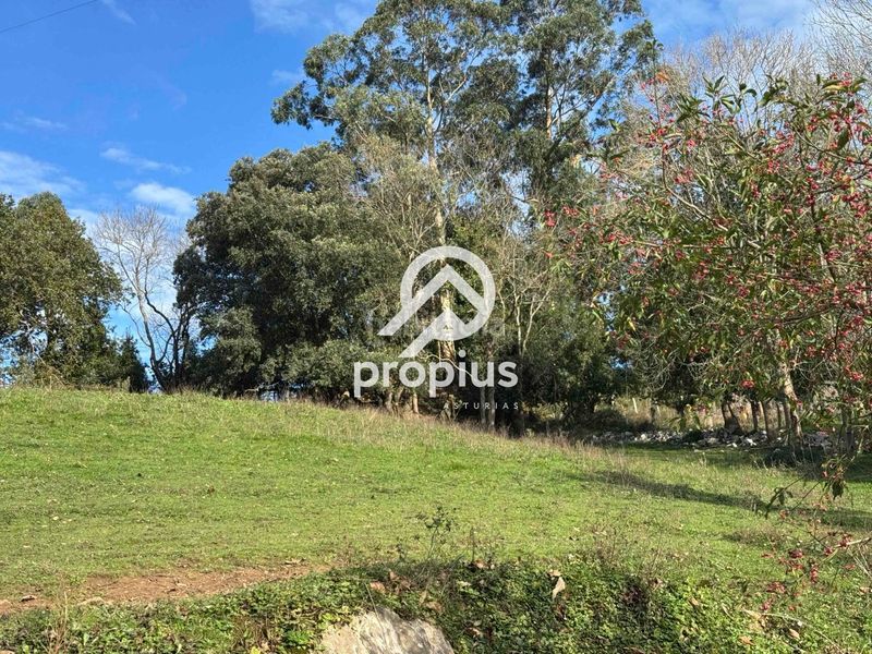 Foto 62e9e747-28f6-4a6f-a7da-124badccce3e. Finca rústica exclusiva parcela edificable en belmonte de pría inversión y proyecto de vida en plena costa asturiana en Llanes