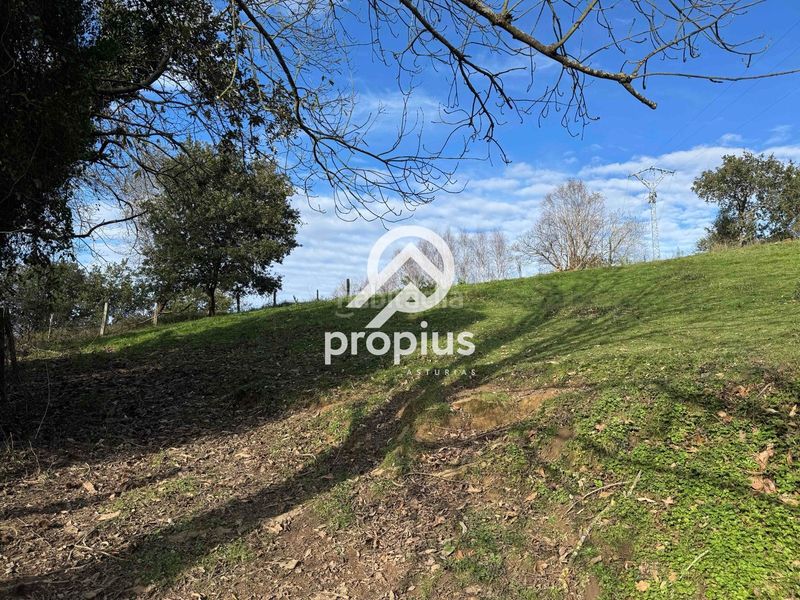 Foto b487fb4c-3ac8-4fdf-ad6c-729b073c56ab. Finca rústica exclusiva parcela edificable en belmonte de pría inversión y proyecto de vida en plena costa asturiana en Llanes