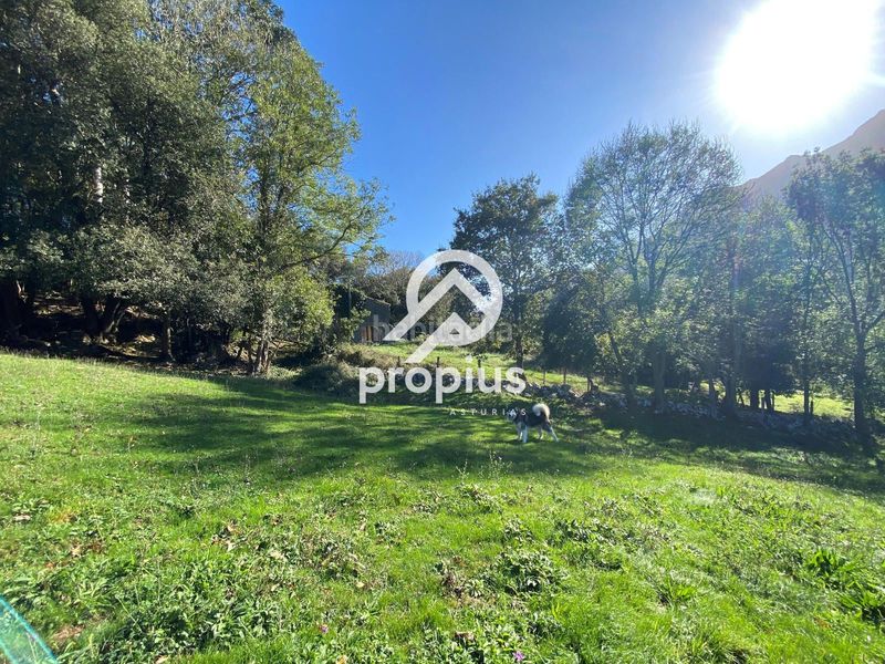 Foto bc86a7e0-b985-44e3-be29-3c0768e70b5c. Finca rústica exclusiva parcela edificable en belmonte de pría inversión y proyecto de vida en plena costa asturiana en Llanes