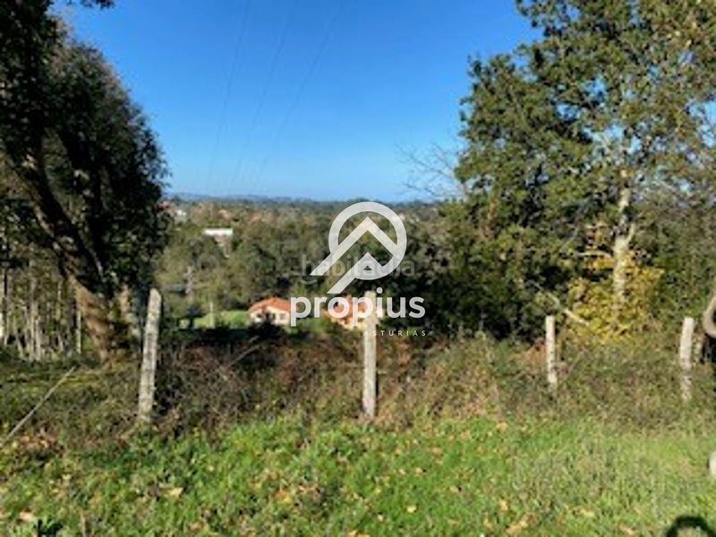 Foto ce67cfc1-eab0-481b-bad2-80b353e688b3. Finca rústica exclusiva parcela edificable en belmonte de pría inversión y proyecto de vida en plena costa asturiana en Llanes