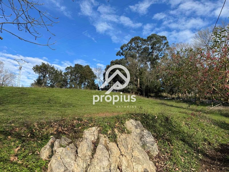 Foto eb852b70-6e10-4b9f-890b-379af71563f0. Finca rústica exclusiva parcela edificable en belmonte de pría inversión y proyecto de vida en plena costa asturiana en Llanes