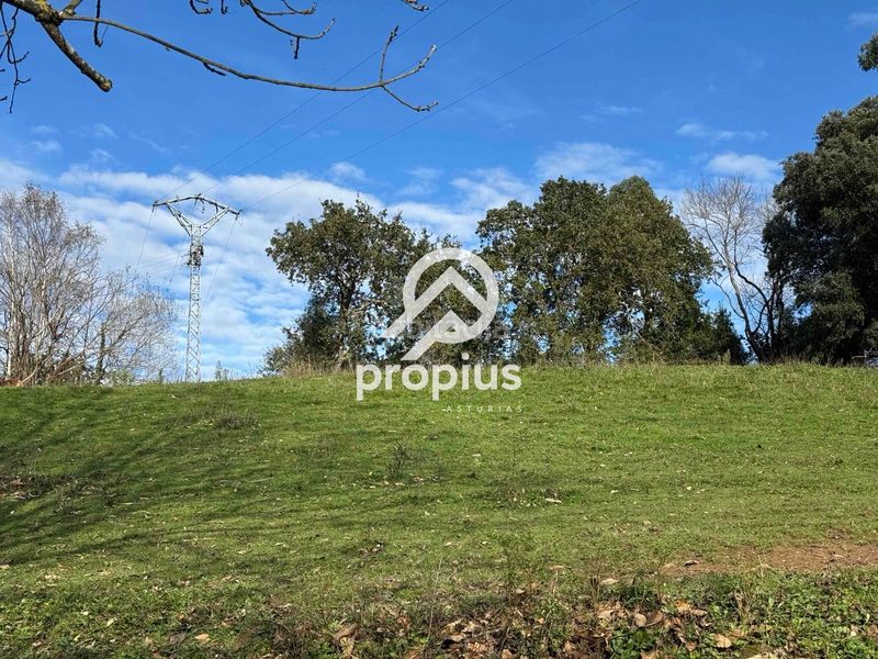 Foto f40c8ca5-85cb-45a9-a0bc-ee057b7bd8ba. Finca rústica exclusiva parcela edificable en belmonte de pría inversión y proyecto de vida en plena costa asturiana en Llanes