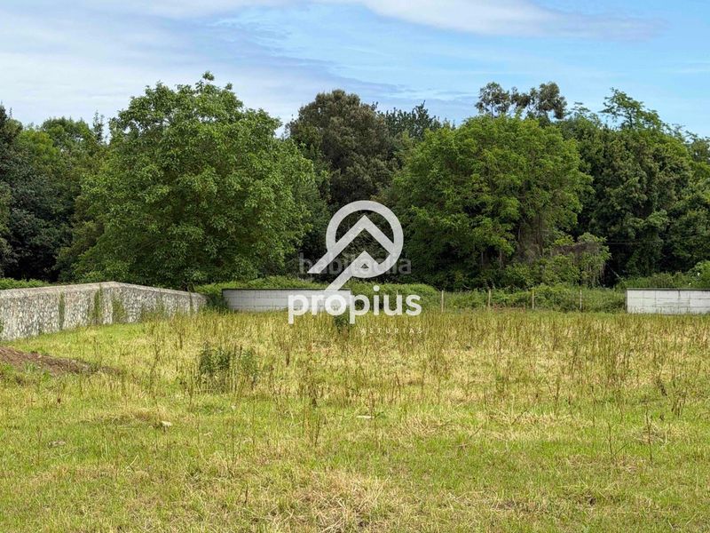 Foto 1a574b4a-a4e1-4425-a5d0-560ccd4d6338. Finca rústica a Pría-Nueva-Hontoria-Naves Llanes