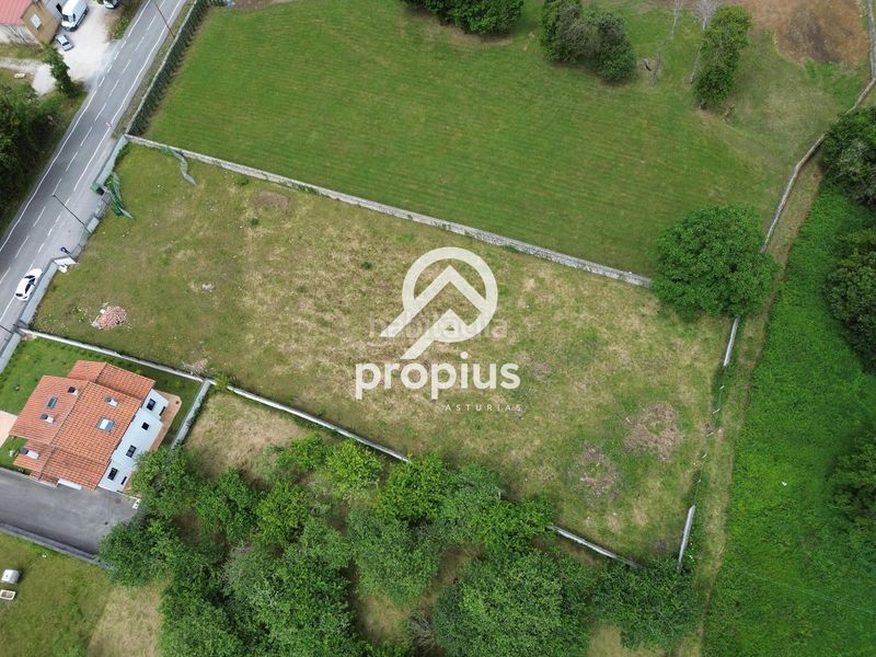 Foto 25a9e267-fb19-42d1-977c-5735d67ef4fc. Finca rústica a Pría-Nueva-Hontoria-Naves Llanes