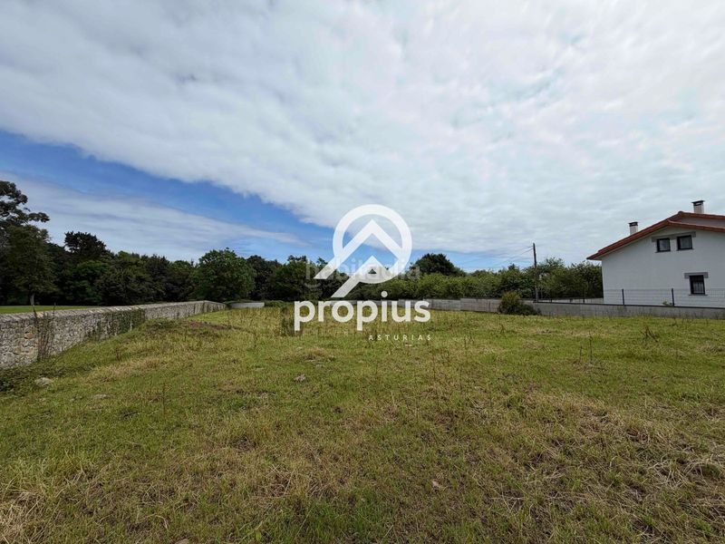 Foto 44e5b897-c266-4b5b-ac1b-b7a4fcedf4c3. Finca rústica a Pría-Nueva-Hontoria-Naves Llanes