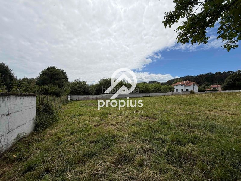 Foto 4dc0a1bc-3b7f-476f-8a38-10e66963048d. Finca rústica a Pría-Nueva-Hontoria-Naves Llanes