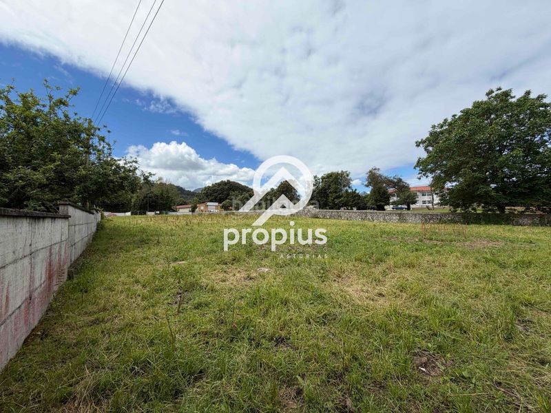 Foto 70deb12c-1302-4e5d-b658-dee326e578a1. Finca rústica a Pría-Nueva-Hontoria-Naves Llanes