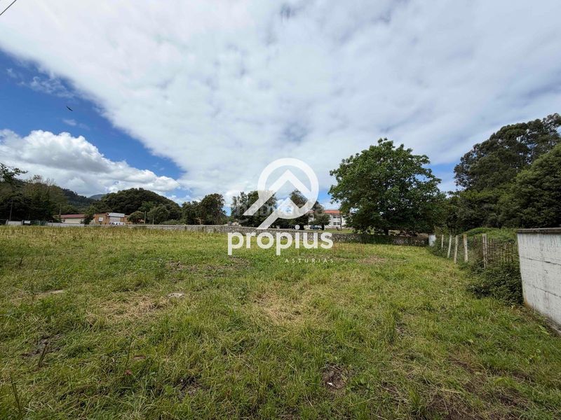 Foto 9ce1088d-7e22-4aa3-8605-2510b4fe6a5e. Finca rústica a Pría-Nueva-Hontoria-Naves Llanes