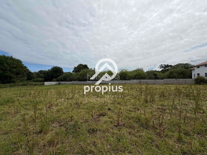 Foto a95a5cef-dd1a-476e-957e-11770b517e06. Finca rústica a Pría-Nueva-Hontoria-Naves Llanes