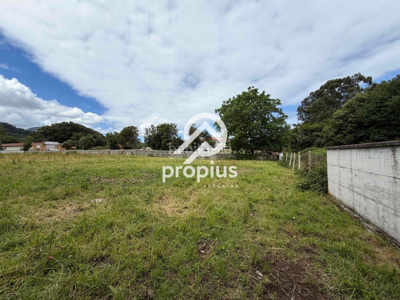Foto dc4ff0cd-4259-4144-87ac-e2e7d25266ae. Finca rústica a Pría-Nueva-Hontoria-Naves Llanes