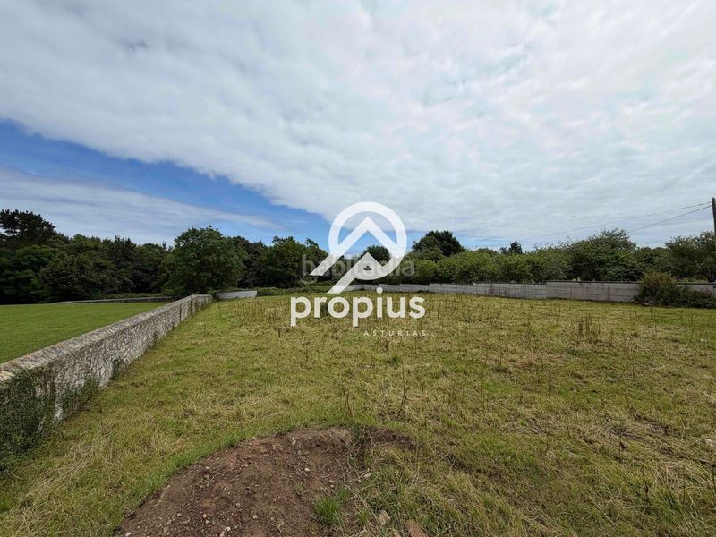 Foto e4fc878a-ab1b-4aff-b71a-fd2bb06925da. Finca rústica a Pría-Nueva-Hontoria-Naves Llanes