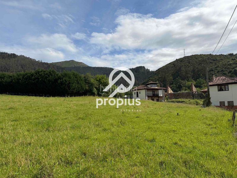 Foto 3a2e3b26-c879-4a23-98d3-d16e5d17a5d7. Finca rústica a Parres