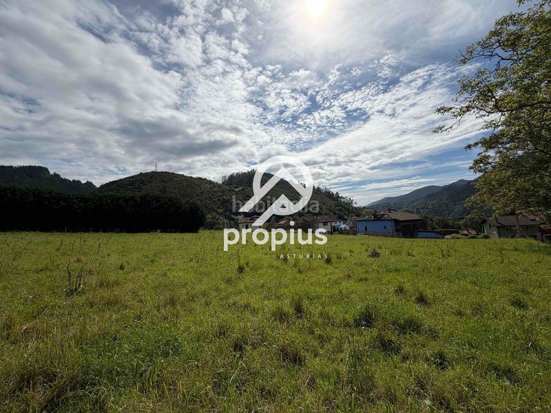 Foto 41a1490d-cb19-42a4-bf14-425e5f78a4ba. Finca rústica a Parres