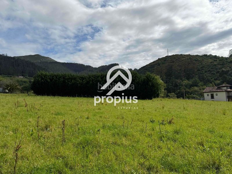 Foto 468c37f3-d78d-4d40-bab5-9e3e350671b4. Finca rústica a Parres