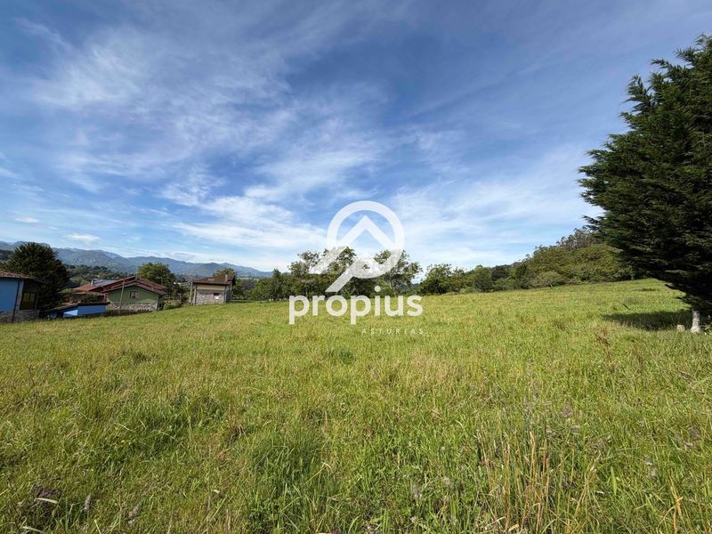 Foto 70229a7d-3b62-4684-bf05-55540c7d7c5e. Finca rústica a Parres