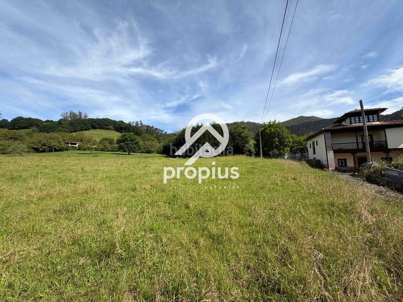 Foto 729a8b6b-eea1-45ff-a6fb-cb3157c4f357. Finca rústica a Parres